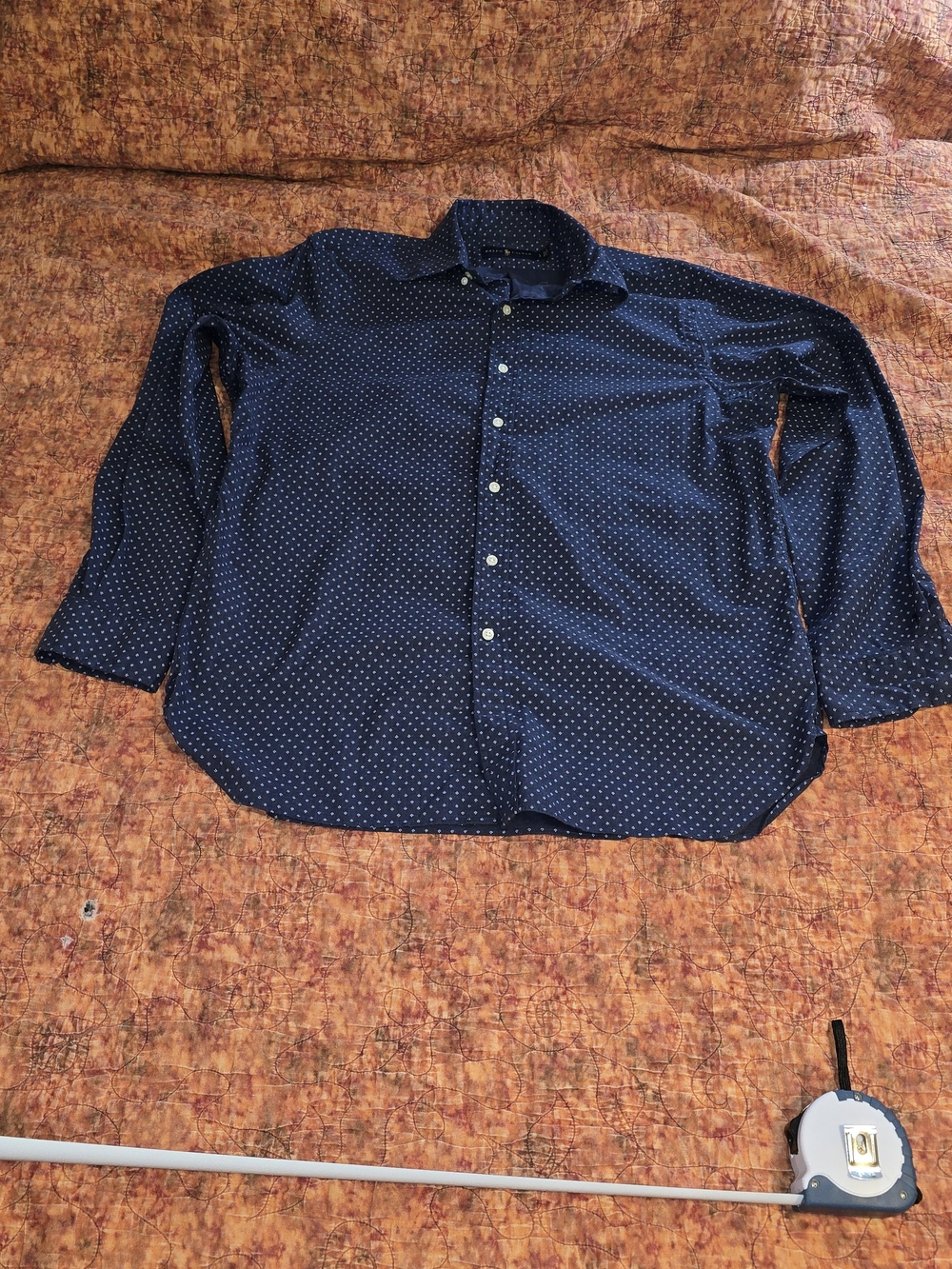 Polo Ralph Lauren Men's Button Down Shirt Size L Large Long Sleeve